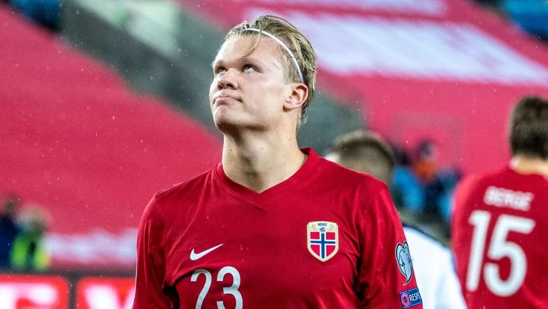 早报：求一个全是名场面的评论区（早报：征集一个全是名场面的评论区）